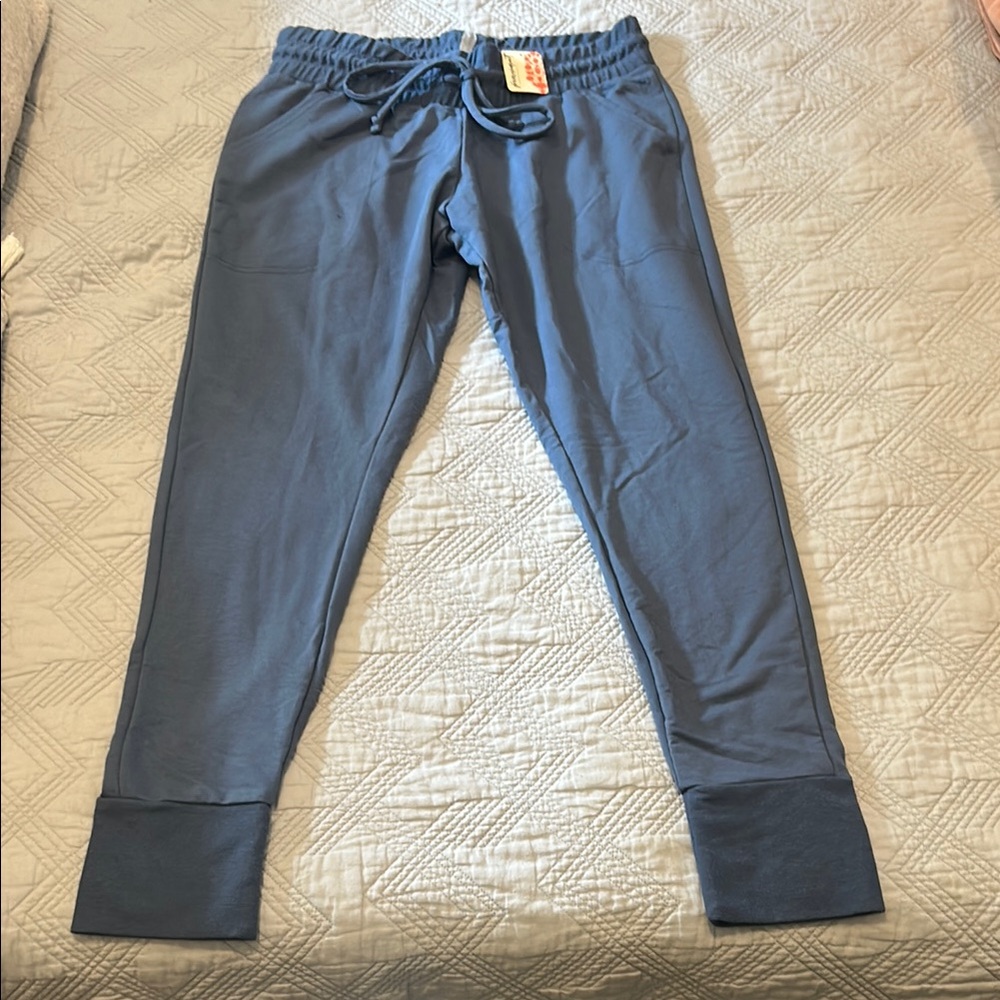 Free people blue NEW casual Jogger Pants size medium